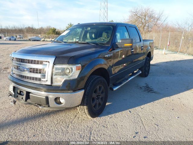 Photo 1 VIN: 1FTFW1EF1EKF88773 - FORD F-150 