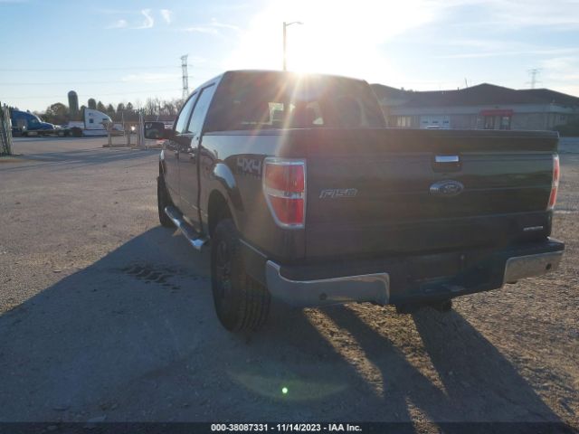 Photo 2 VIN: 1FTFW1EF1EKF88773 - FORD F-150 