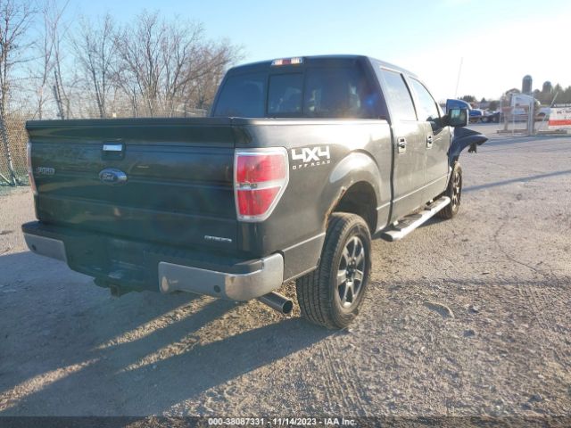 Photo 3 VIN: 1FTFW1EF1EKF88773 - FORD F-150 