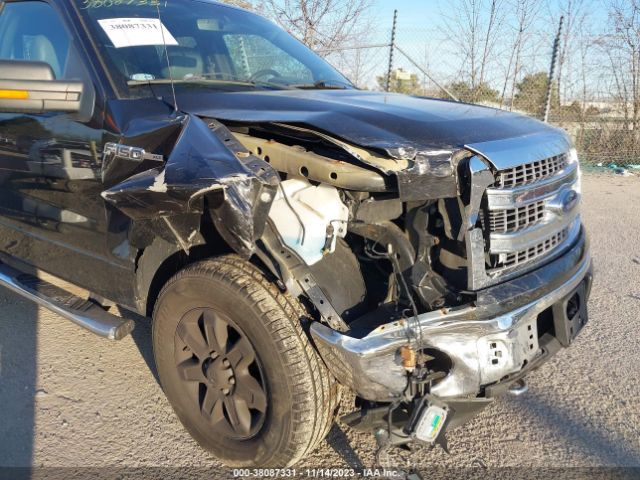 Photo 5 VIN: 1FTFW1EF1EKF88773 - FORD F-150 