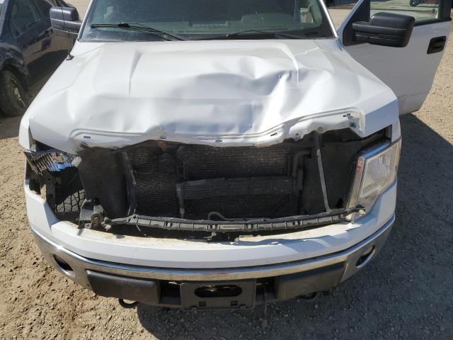 Photo 10 VIN: 1FTFW1EF1EKG25854 - FORD F150 SUPER 