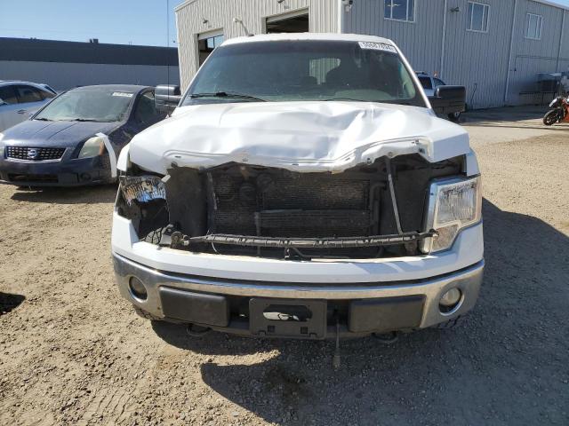 Photo 4 VIN: 1FTFW1EF1EKG25854 - FORD F150 SUPER 