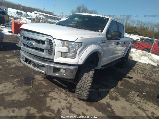 Photo 1 VIN: 1FTFW1EF1FFA82032 - FORD F-150 