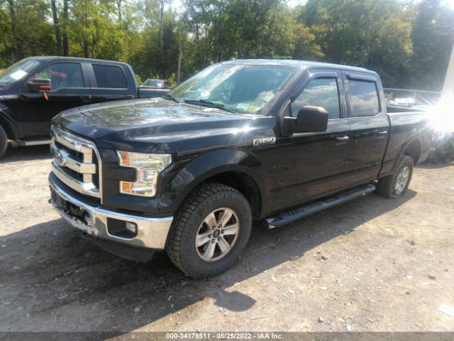 Photo 1 VIN: 1FTFW1EF1FKD45630 - FORD F-150 