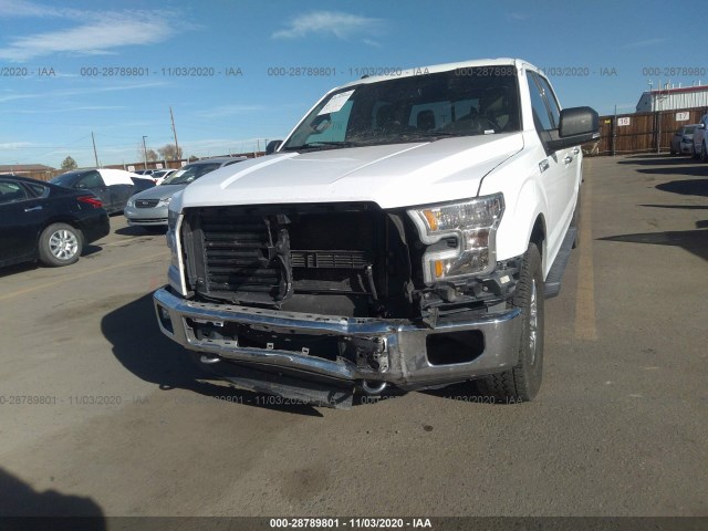 Photo 5 VIN: 1FTFW1EF1GKF11338 - FORD F-150 