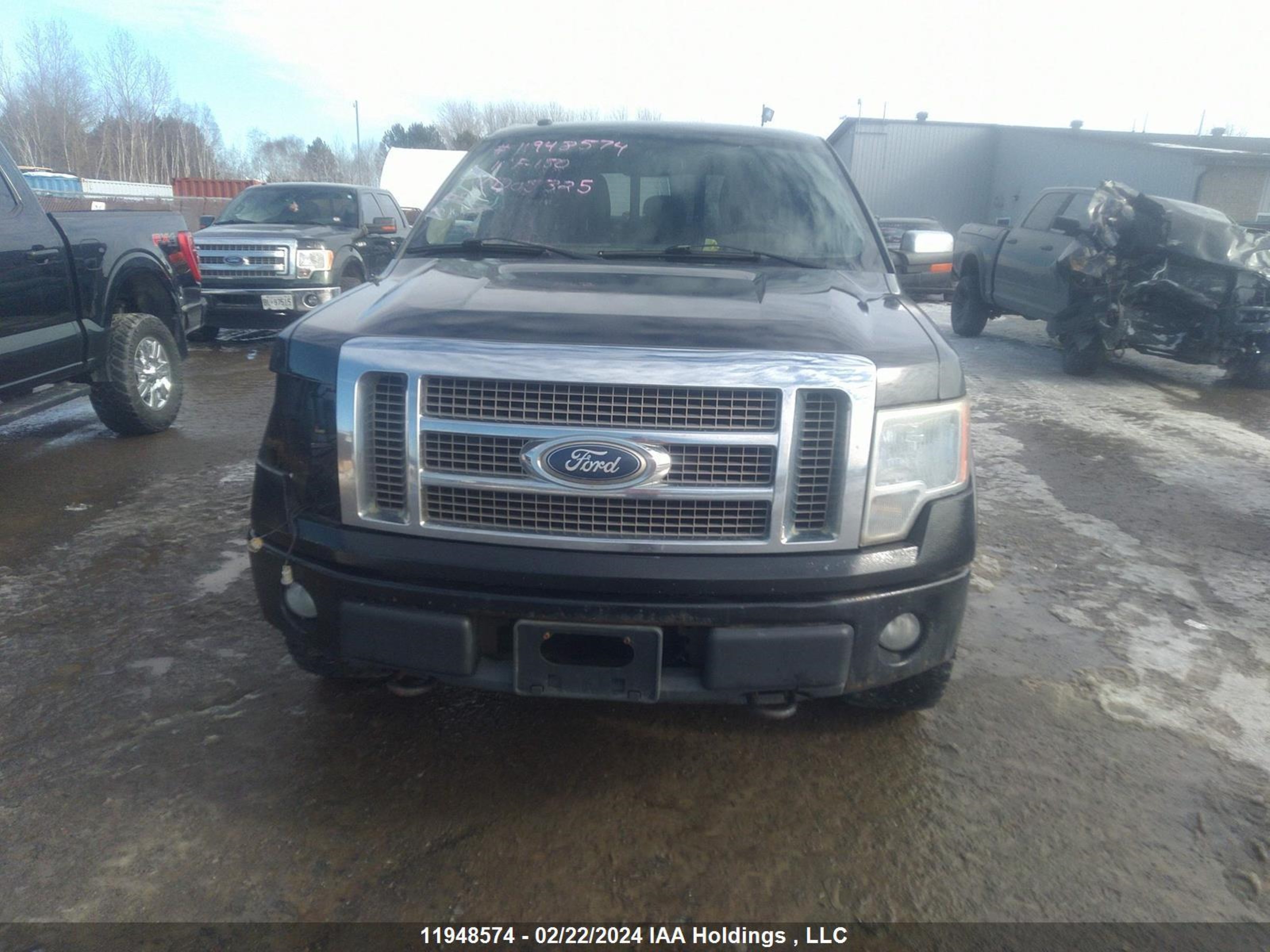 Photo 12 VIN: 1FTFW1EF2BKD05325 - FORD F-150 