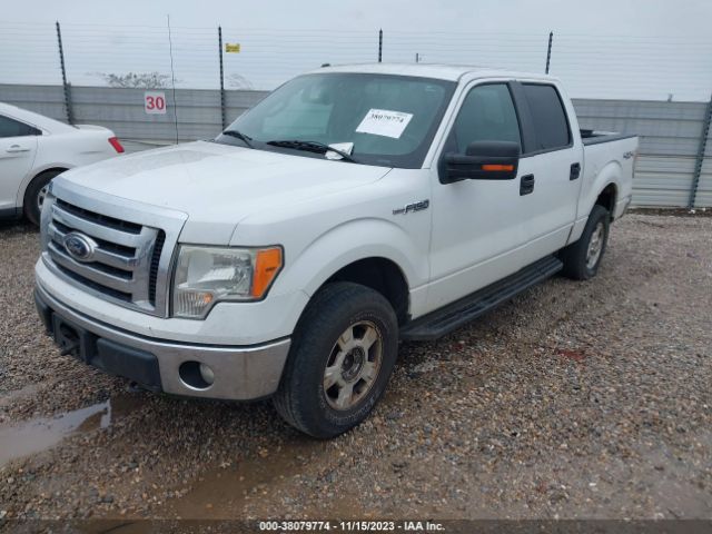 Photo 1 VIN: 1FTFW1EF2CKD66076 - FORD F-150 