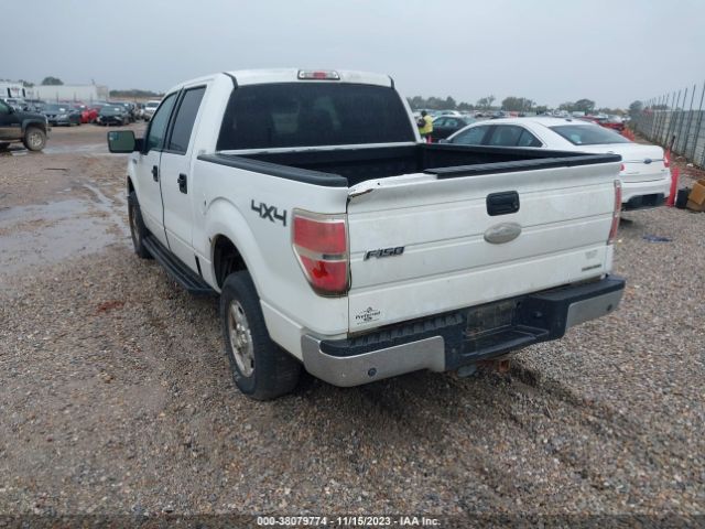 Photo 2 VIN: 1FTFW1EF2CKD66076 - FORD F-150 