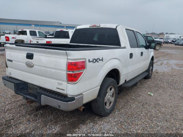 Photo 3 VIN: 1FTFW1EF2CKD66076 - FORD F-150 