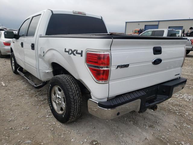 Photo 2 VIN: 1FTFW1EF2DFB24172 - FORD F150 SUPER 