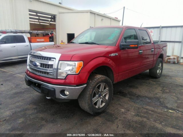 Photo 1 VIN: 1FTFW1EF2DFD91179 - FORD F150 