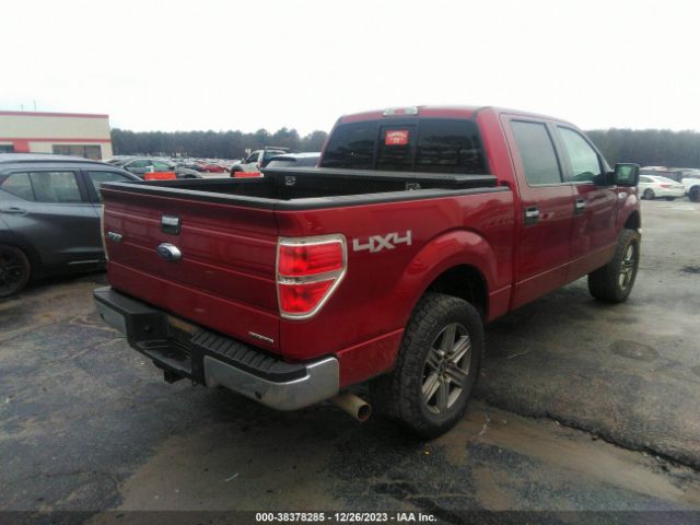 Photo 3 VIN: 1FTFW1EF2DFD91179 - FORD F150 