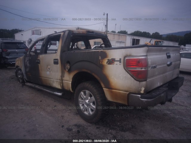 Photo 2 VIN: 1FTFW1EF2DKD35153 - FORD F-150 