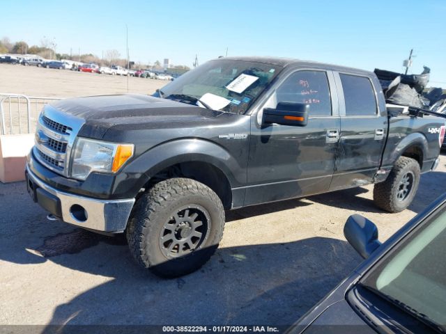 Photo 1 VIN: 1FTFW1EF2DKD59114 - FORD F-150 