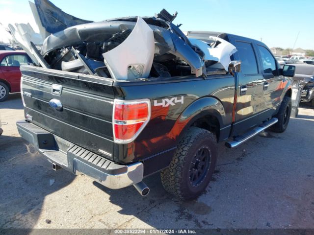 Photo 3 VIN: 1FTFW1EF2DKD59114 - FORD F-150 