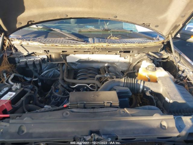 Photo 9 VIN: 1FTFW1EF2DKF91261 - FORD F150 