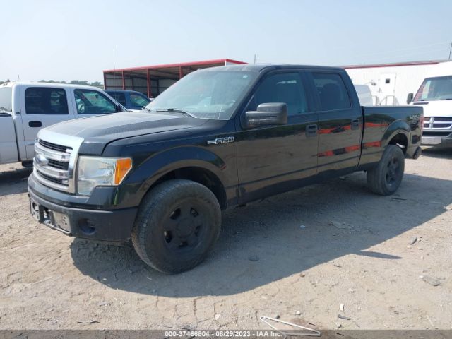 Photo 1 VIN: 1FTFW1EF2EFC55538 - FORD F-150 