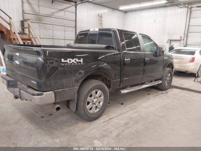 Photo 3 VIN: 1FTFW1EF2EFD10831 - FORD F-150 