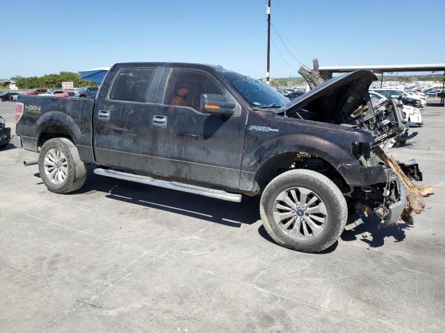 Photo 3 VIN: 1FTFW1EF2EKD99677 - FORD F150 SUPER 