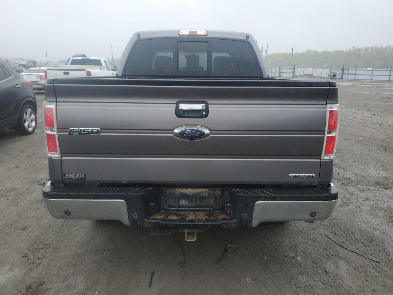 Photo 5 VIN: 1FTFW1EF2EKF37475 - FORD F-150 