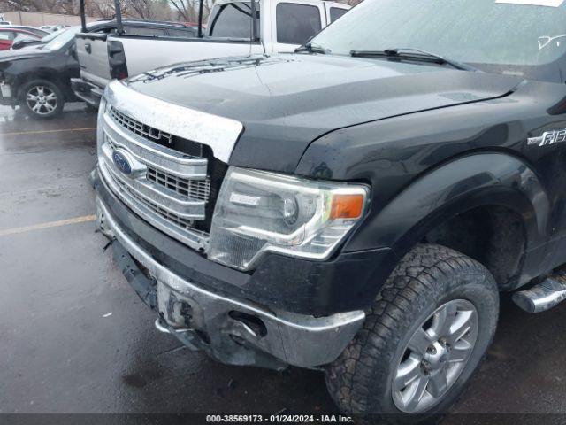 Photo 5 VIN: 1FTFW1EF2EKF54003 - FORD F-150 