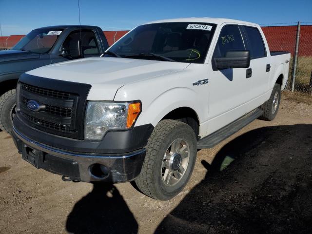 Photo 1 VIN: 1FTFW1EF2EKG05175 - FORD F150 SUPER 