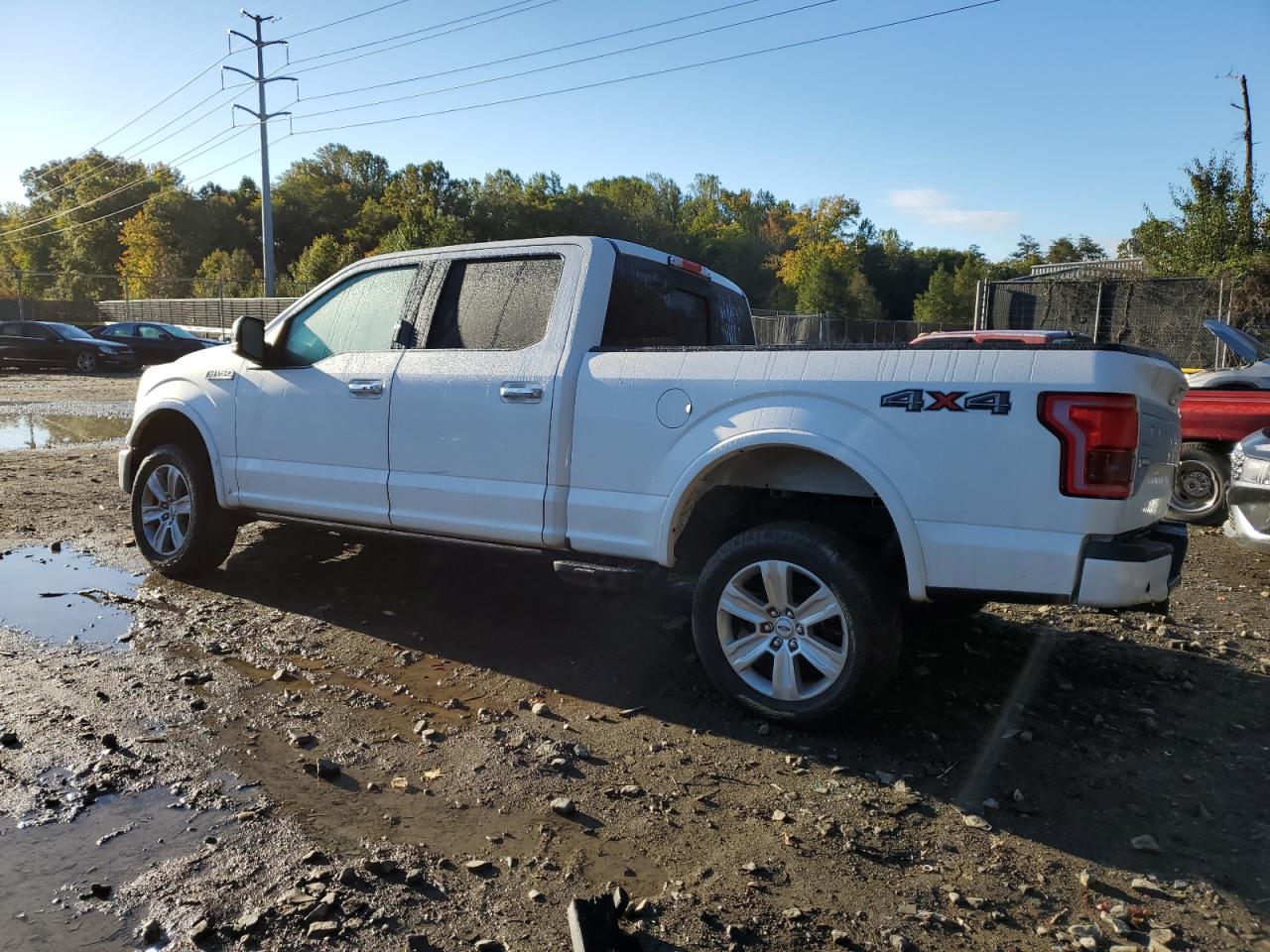 Photo 1 VIN: 1FTFW1EF2FFC71921 - FORD F-150 