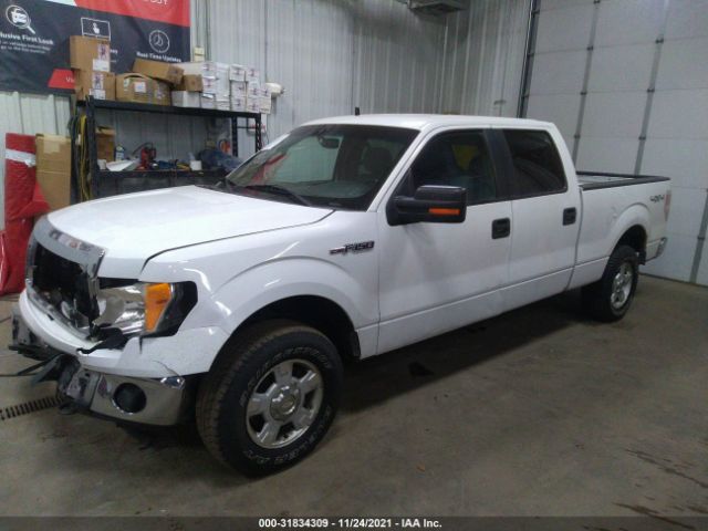 Photo 1 VIN: 1FTFW1EF3BFA78509 - FORD F-150 