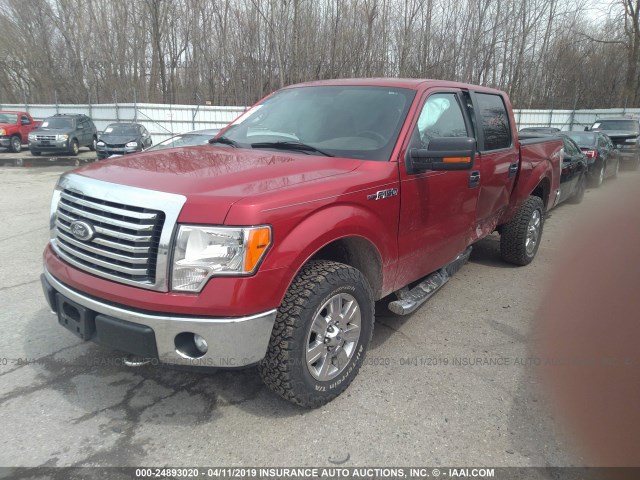 Photo 1 VIN: 1FTFW1EF3BFC37867 - FORD F-150 