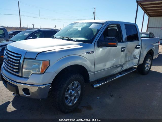 Photo 5 VIN: 1FTFW1EF3BFC90505 - FORD F-150 