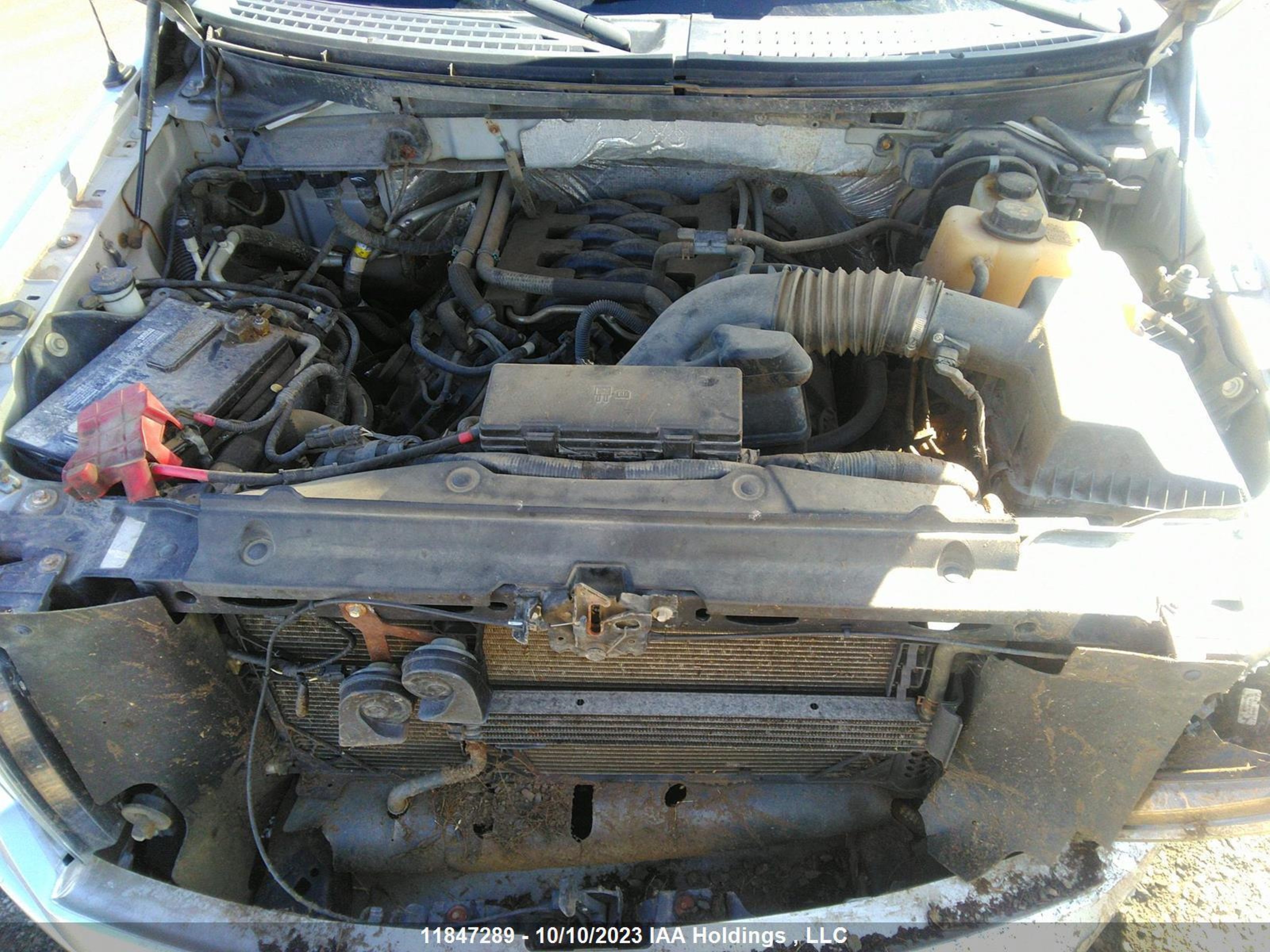 Photo 9 VIN: 1FTFW1EF3BKD69180 - FORD F-150 