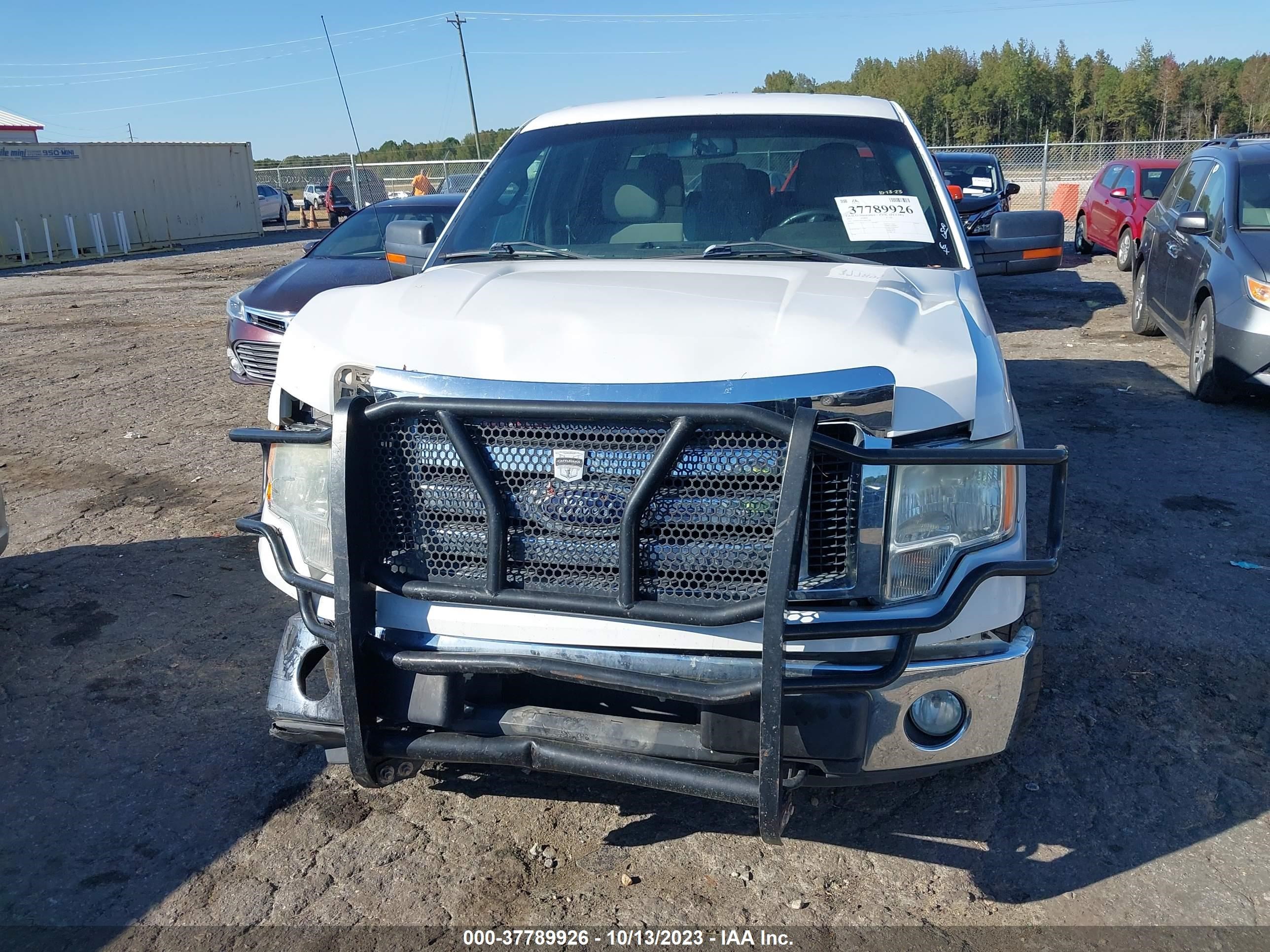 Photo 11 VIN: 1FTFW1EF3CFB37186 - FORD F-150 