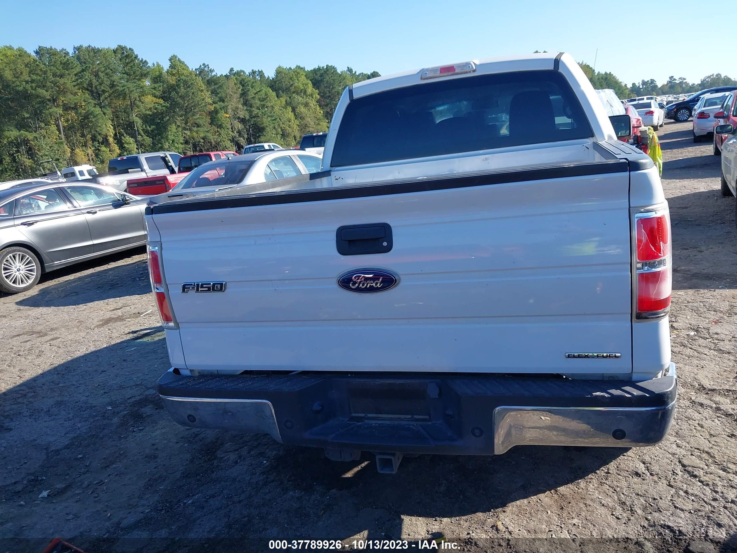 Photo 15 VIN: 1FTFW1EF3CFB37186 - FORD F-150 