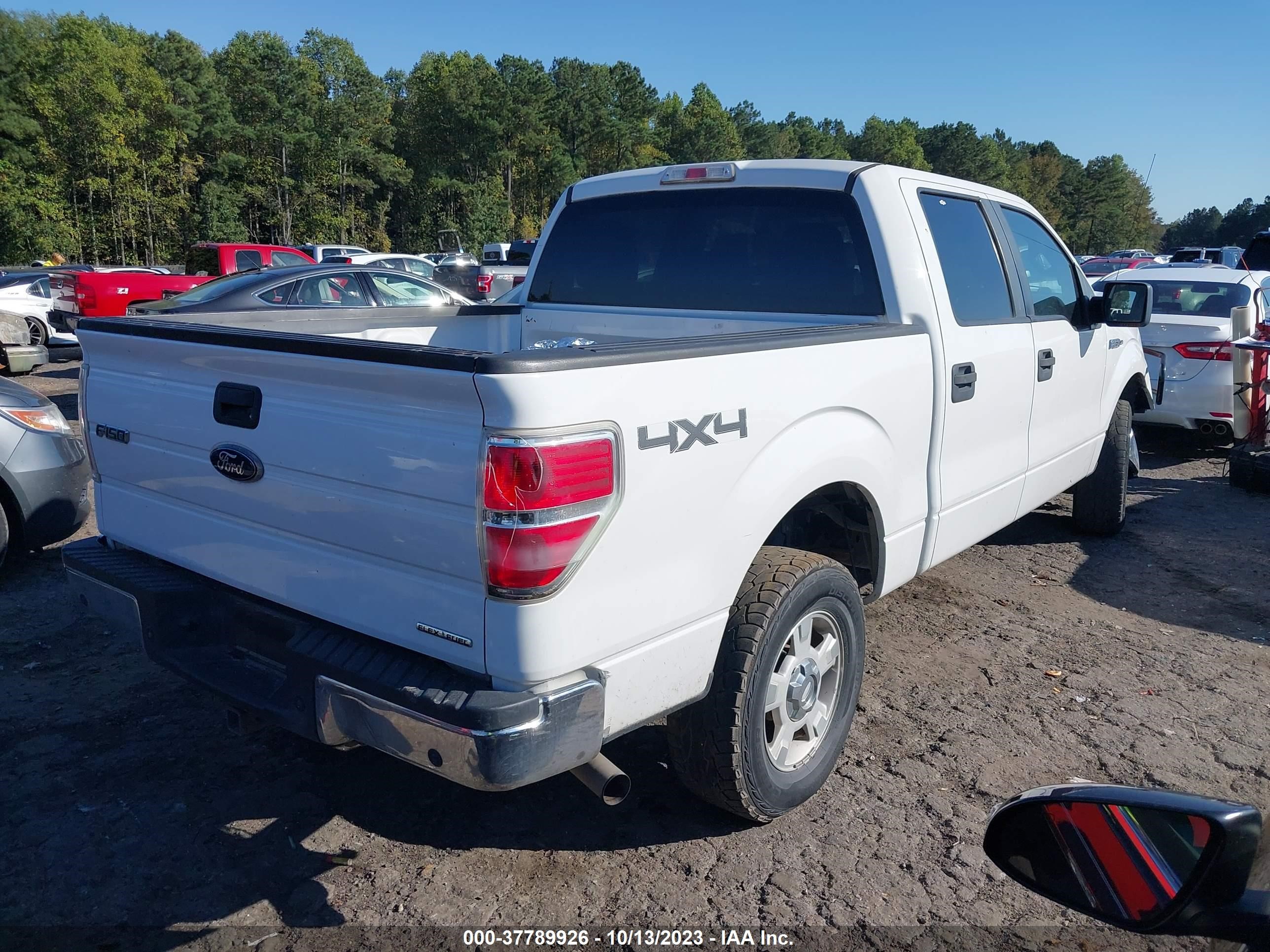 Photo 3 VIN: 1FTFW1EF3CFB37186 - FORD F-150 