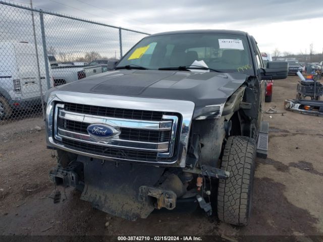 Photo 5 VIN: 1FTFW1EF3DFA14375 - FORD F-150 