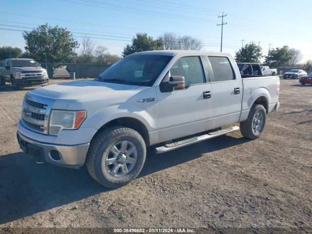 Photo 1 VIN: 1FTFW1EF3DFA24159 - FORD F-150 