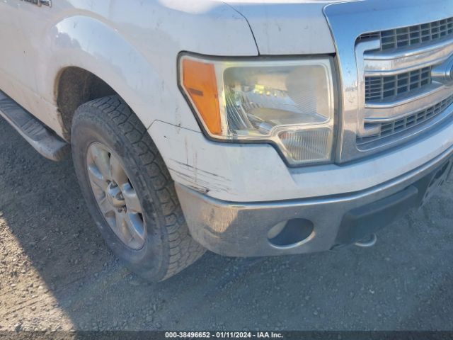 Photo 5 VIN: 1FTFW1EF3DFA24159 - FORD F-150 