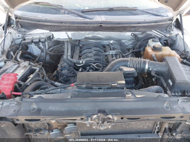 Photo 9 VIN: 1FTFW1EF3DFA24159 - FORD F-150 