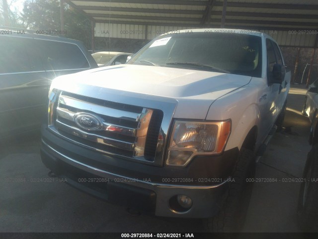 Photo 1 VIN: 1FTFW1EF3DFA24226 - FORD F-150 