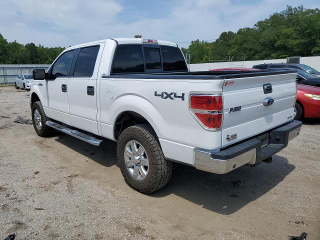 Photo 1 VIN: 1FTFW1EF3DFA46145 - FORD F150 SUPER 