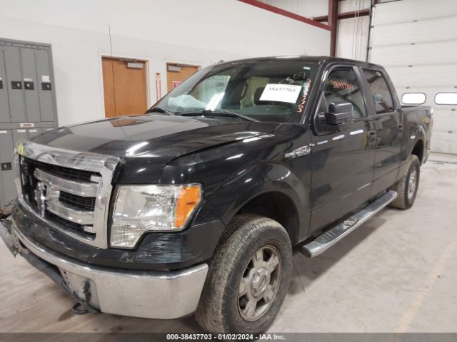 Photo 1 VIN: 1FTFW1EF3DFD05507 - FORD F-150 