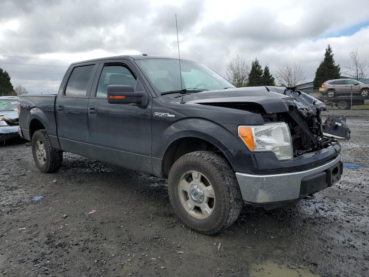 Photo 3 VIN: 1FTFW1EF3DFD72186 - FORD F-150 