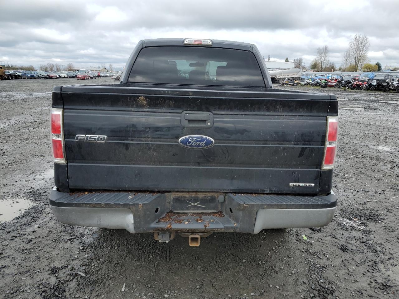 Photo 5 VIN: 1FTFW1EF3DFD72186 - FORD F-150 