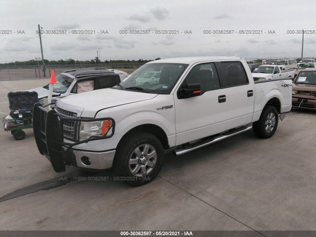 Photo 1 VIN: 1FTFW1EF3DKD69036 - FORD F-150 