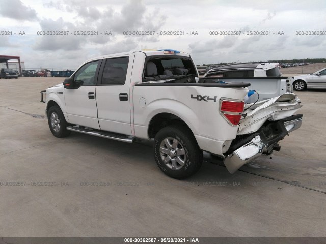 Photo 2 VIN: 1FTFW1EF3DKD69036 - FORD F-150 