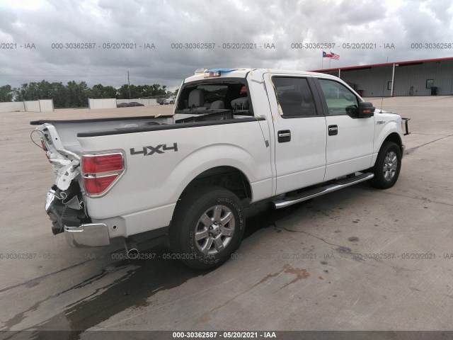 Photo 3 VIN: 1FTFW1EF3DKD69036 - FORD F-150 