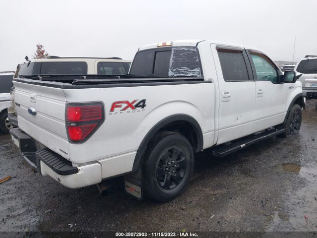 Photo 3 VIN: 1FTFW1EF3DKD71191 - FORD F150 