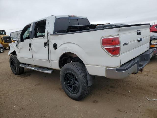 Photo 1 VIN: 1FTFW1EF3DKF14253 - FORD F150 SUPER 