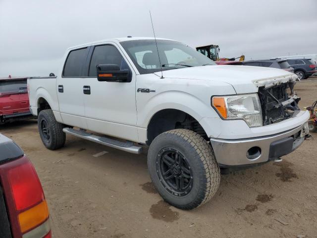 Photo 3 VIN: 1FTFW1EF3DKF14253 - FORD F150 SUPER 