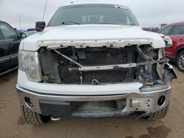 Photo 4 VIN: 1FTFW1EF3DKF14253 - FORD F150 SUPER 